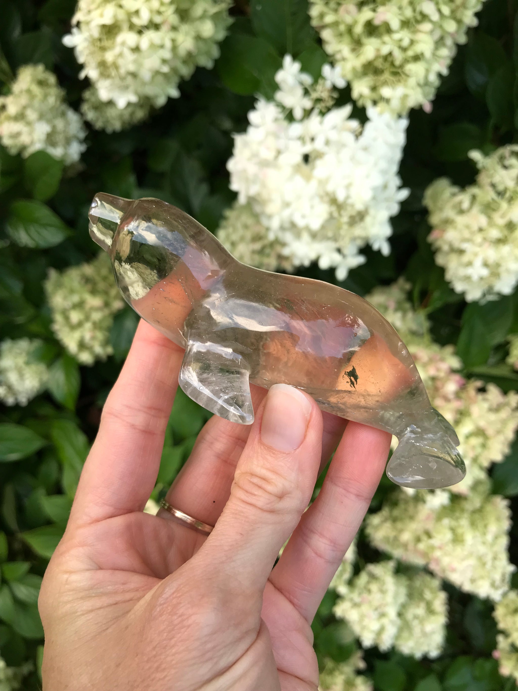CITRINE + SMOKY QUARTZ – The Crystal Lion