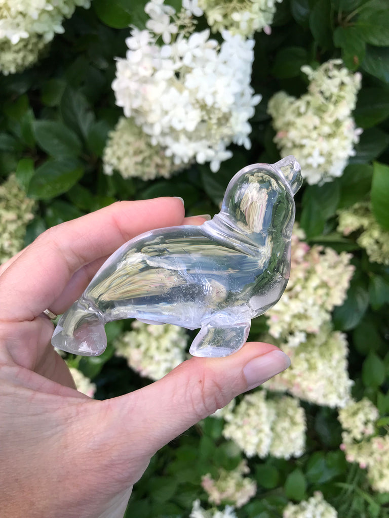 EXCLUSIVE Crystal Lion Quartz Crystal Ritual CUPS // Gifts, Gift Giving,  Holiday, Housewarming // ONE (1) Crystal Cup + Saucer