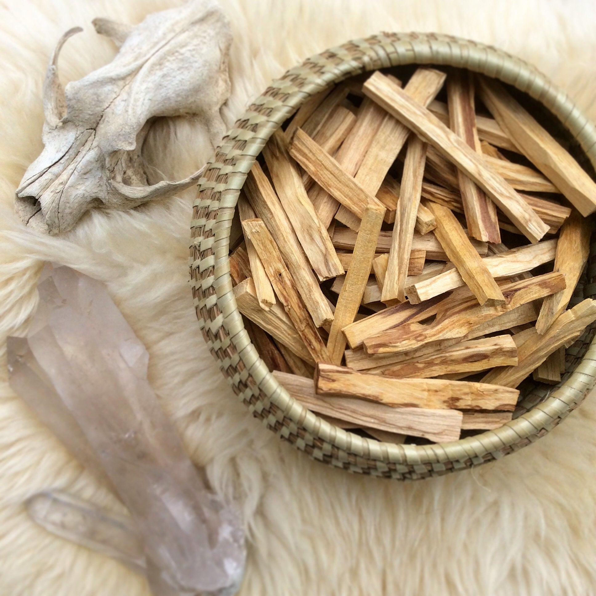 The Mystical Palo Santo and How to Use It – Astral Collective