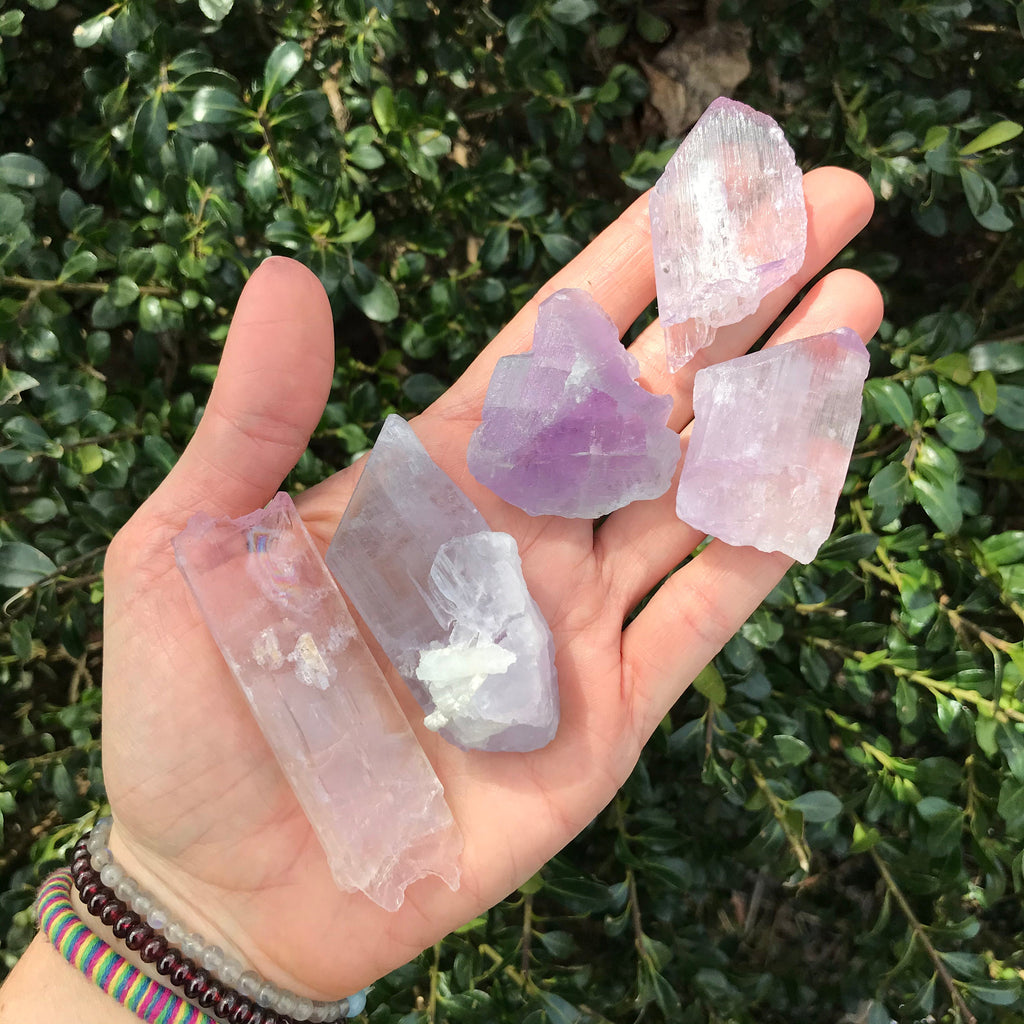 Rare Crystyals RARE CRYSTALS – The Crystal Lion